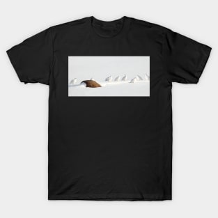 Ptarmigans, Churchill, Canada T-Shirt